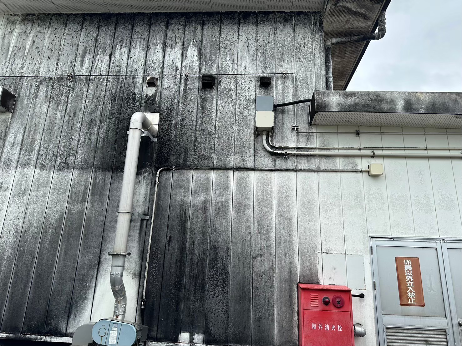 Before image