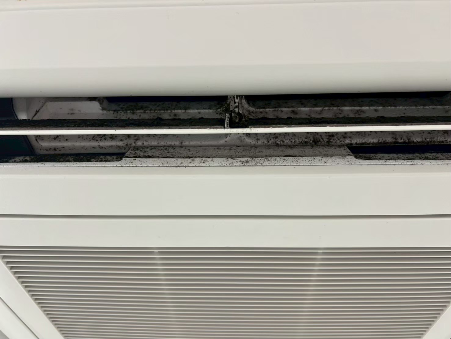 Before image